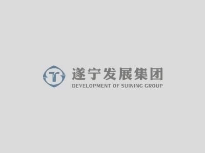 遂宁发展集团召开“三严三实”第二个专题学习研讨会